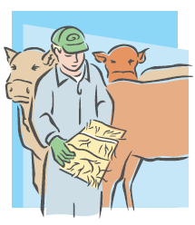 cattle farmer