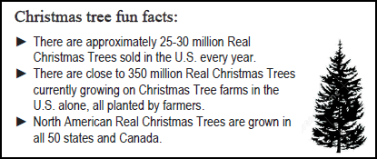 Christmas Tree Fun Facts