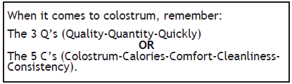 Colostrum Information