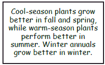 Cool Season Plants