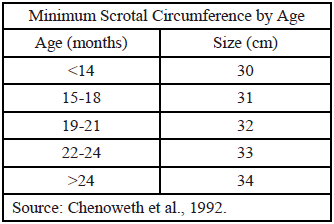 Minimum Scrotal Circumference by Age