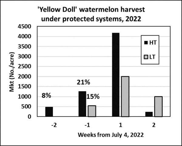 Figure 1. Proportion of marketable watermelons harvested from high tunnels (HT) and low tunnels (LT) treatments prior to the target Fourth of July market in 2022.