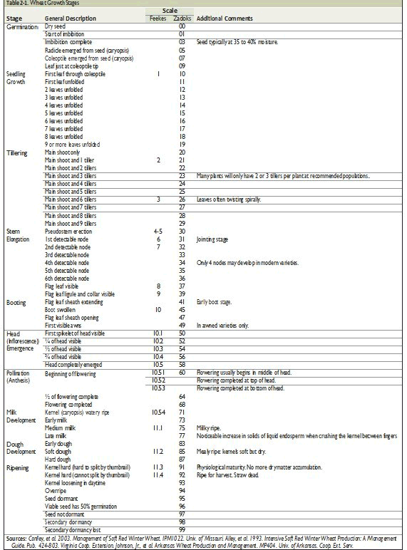 Feekes / Zadoks Growth Stages