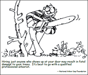 Arborist Cartoon