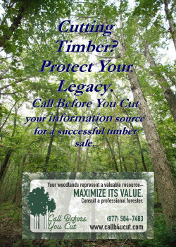 Cutting Timber? Protect Your Legacy